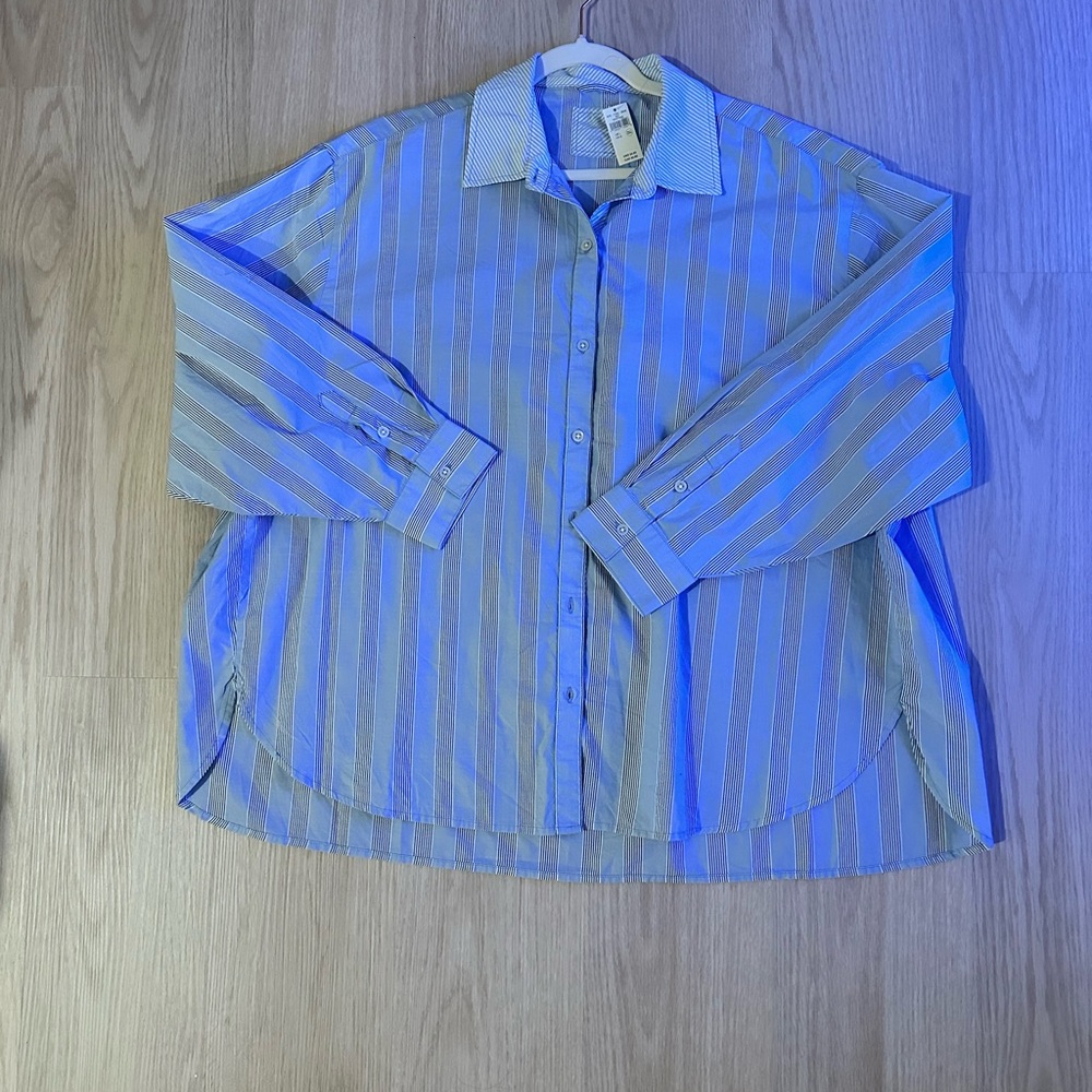Aerie Blue and White Striped Button Down Shirt